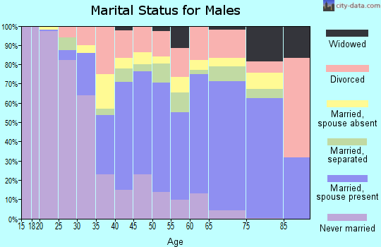 Zip code 33055 marital status for males