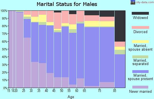 Zip code 33065 marital status for males