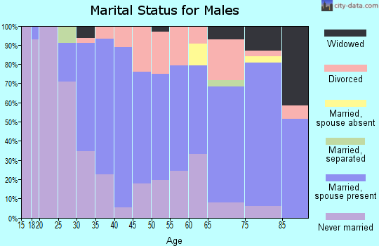 Zip code 33066 marital status for males