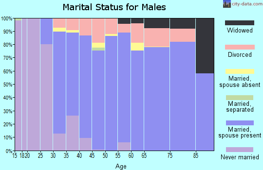 Zip code 33067 marital status for males