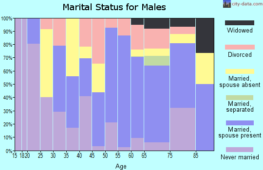 Zip code 33070 marital status for males