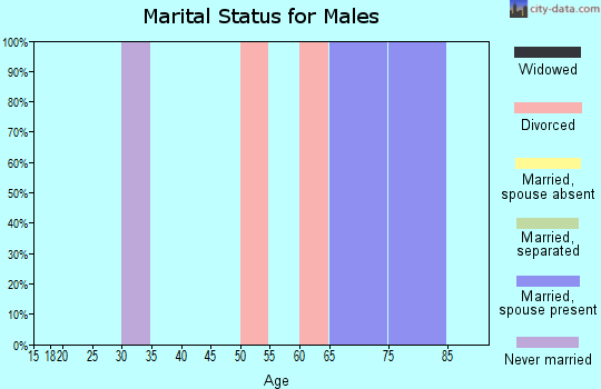 Zip code 33109 marital status for males