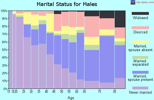 Zip code 33125 marital status for males