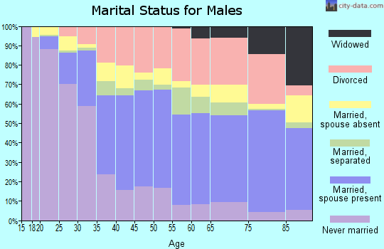 Zip code 33126 marital status for males