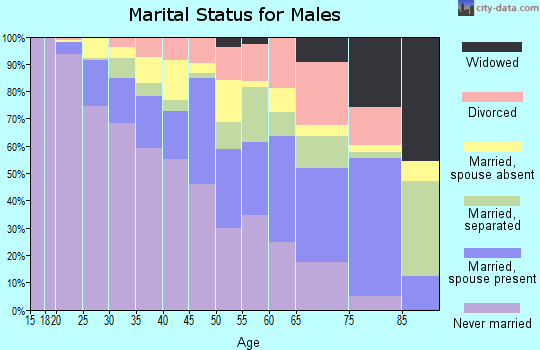 Zip code 33127 marital status for males