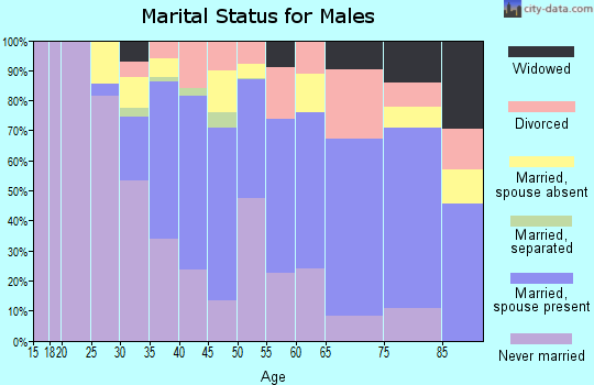 Zip code 33129 marital status for males