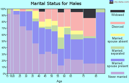 Zip code 33130 marital status for males