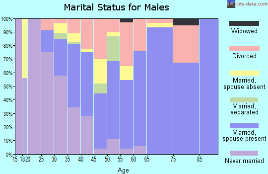 Zip code 33131 marital status for males