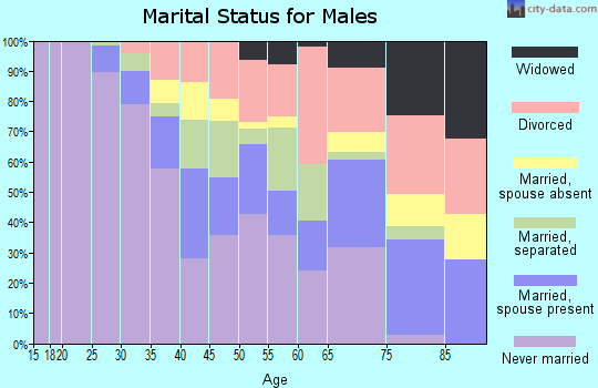Zip code 33136 marital status for males