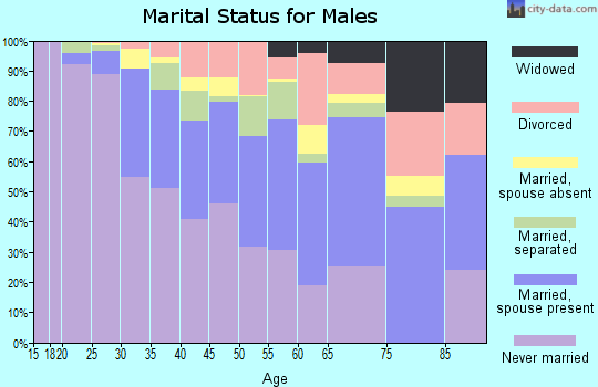 Zip code 33138 marital status for males