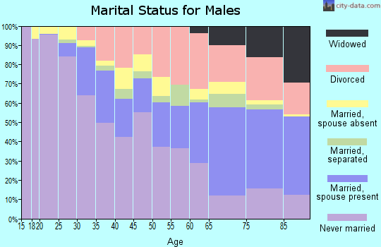 Zip code 33139 marital status for males