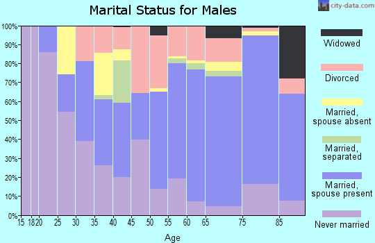 Zip code 33140 marital status for males