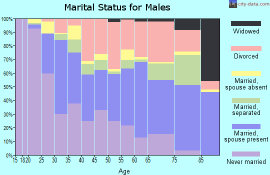 Zip code 33141 marital status for males