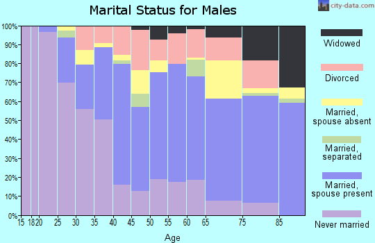 Zip code 33144 marital status for males