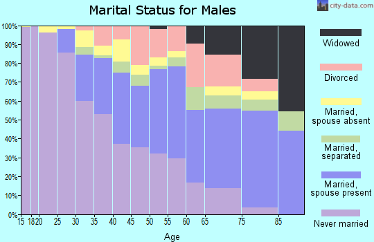 Zip code 33147 marital status for males