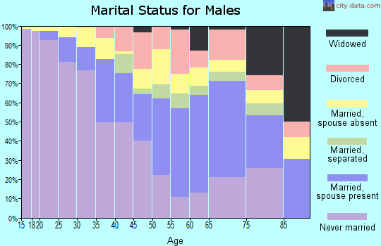 Zip code 33150 marital status for males