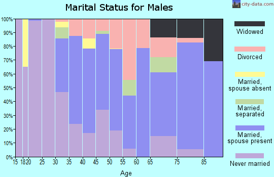 Zip code 33154 marital status for males