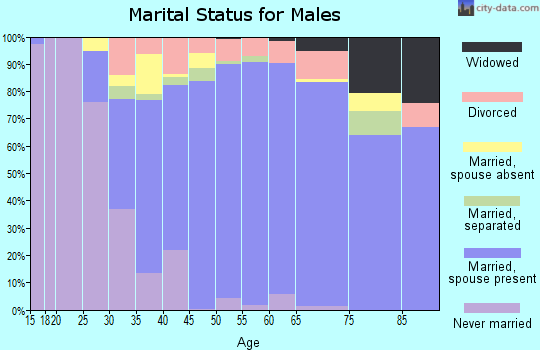Zip code 33156 marital status for males