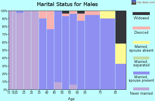 Zip code 33158 marital status for males