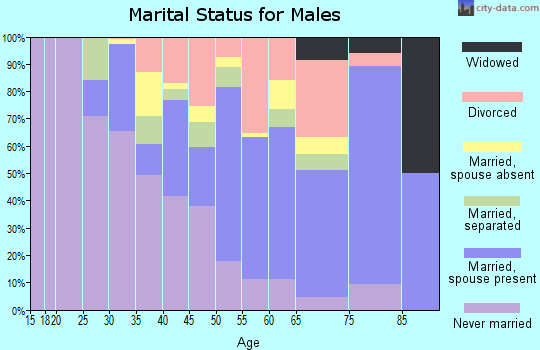 Zip code 33167 marital status for males