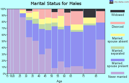 Zip code 33168 marital status for males