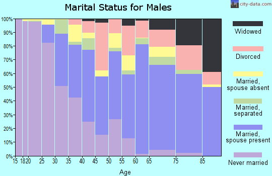 Zip code 33169 marital status for males