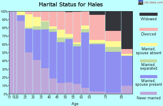 Zip code 33172 marital status for males