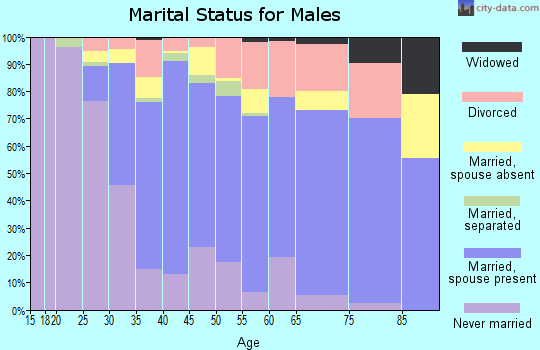 Zip code 33173 marital status for males