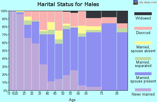 Zip code 33174 marital status for males