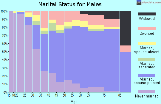 Zip code 33175 marital status for males