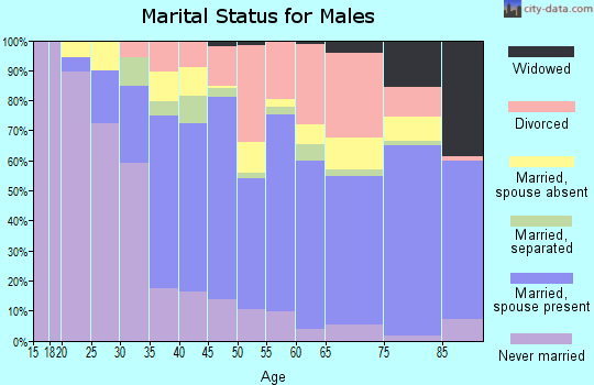 Zip code 33179 marital status for males