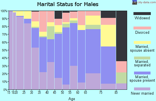 Zip code 33182 marital status for males