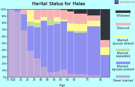 Zip code 33183 marital status for males