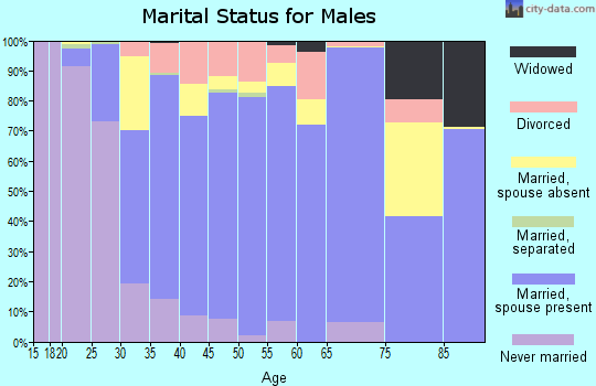 Zip code 33185 marital status for males