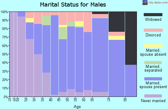 Zip code 33187 marital status for males