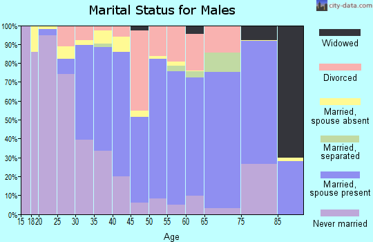 Zip code 33189 marital status for males