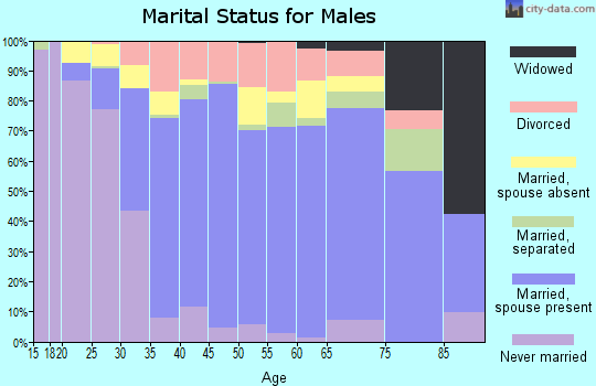 Zip code 33193 marital status for males