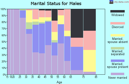 Zip code 33194 marital status for males