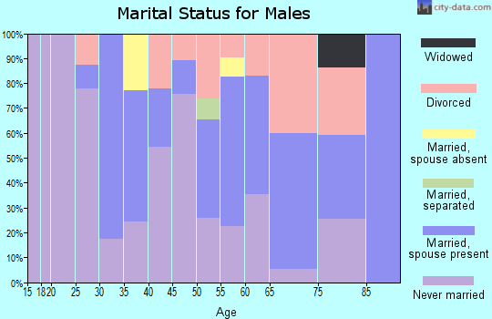 Zip code 33306 marital status for males