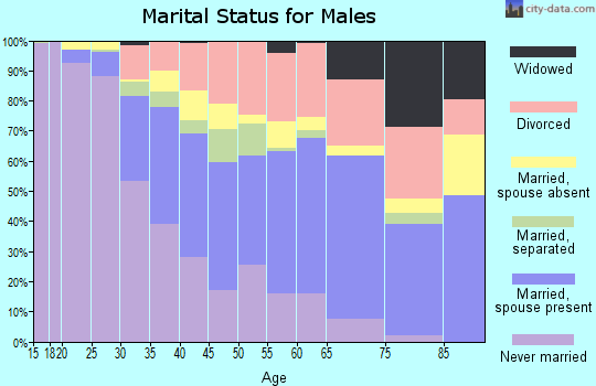 Zip code 33313 marital status for males