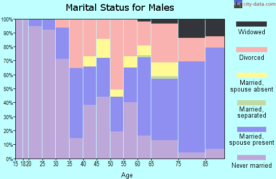 Zip code 33316 marital status for males