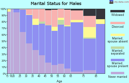 Zip code 33324 marital status for males
