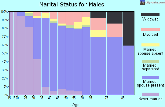 Zip code 33326 marital status for males