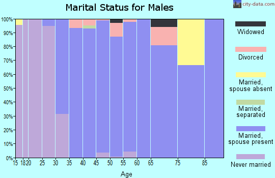 Zip code 33327 marital status for males