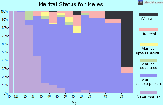 Zip code 33331 marital status for males