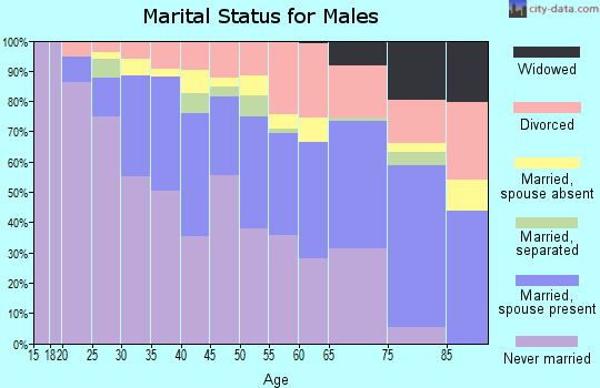Zip code 33334 marital status for males