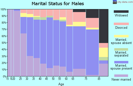 Zip code 33351 marital status for males