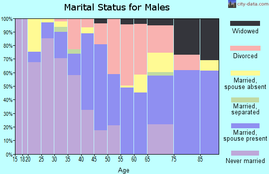 Zip code 33403 marital status for males