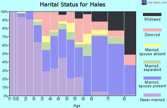 Zip code 33404 marital status for males