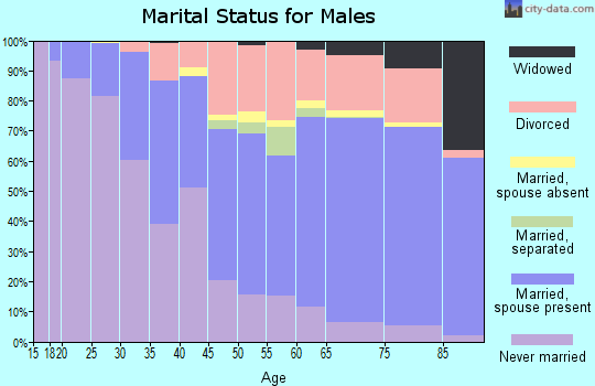 Zip code 33408 marital status for males